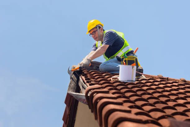 Best Roof Leak Repair  in Gruetli Laager, TN